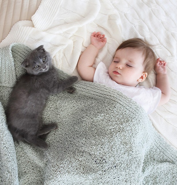 Pode deixar o gato ou o cachorro dormir na mesma cama que o beb?